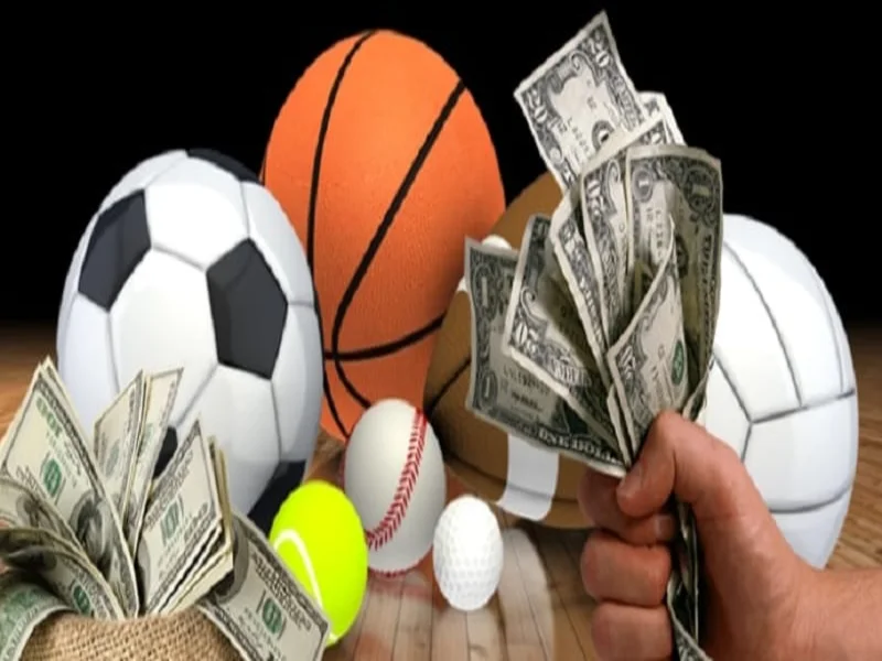Tìm hiểu thông tin về cá cược im sports tại nhà cái FB88